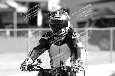 media/Feb-23-2025-2WTD (Sun) [[9604a77d5d]]/1-Around the Pits/
